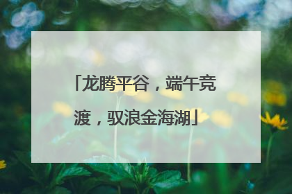 龙腾平谷，端午竞渡，驭浪金海湖