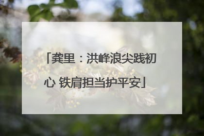 龚里：洪峰浪尖践初心 铁肩担当护平安