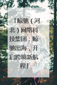 鲸驰（河北）网络科技集团：鲸驰出海，开启跨境新航程