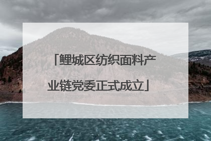 鲤城区纺织面料产业链党委正式成立