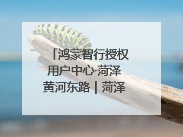 鸿蒙智行授权用户中心·菏泽黄河东路｜菏泽首店盛大开业