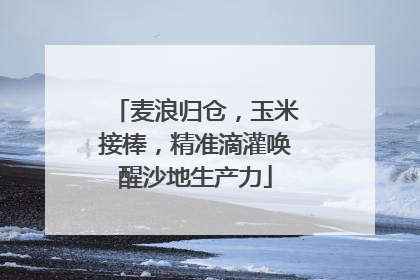 麦浪归仓，玉米接棒，精准滴灌唤醒沙地生产力