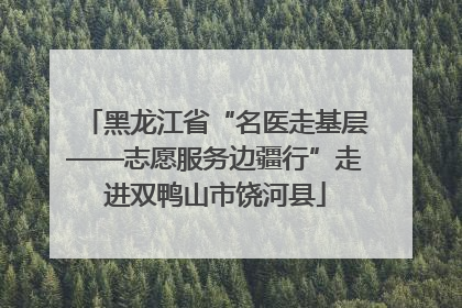 黑龙江省“名医走基层——志愿服务边疆行”走进双鸭山市饶河县