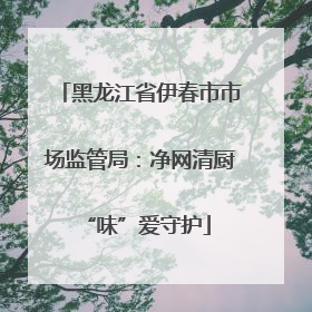 黑龙江省伊春市市场监管局：净网清厨 “味”爱守护