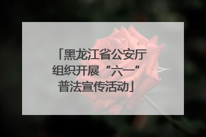 黑龙江省公安厅组织开展“六一”普法宣传活动