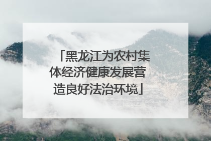 黑龙江为农村集体经济健康发展营造良好法治环境