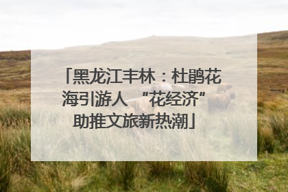 黑龙江丰林：杜鹃花海引游人 “花经济”助推文旅新热潮