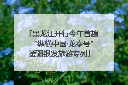 黑龙江开行今年首趟“纵横中国·龙泰号”援疆银发旅游专列