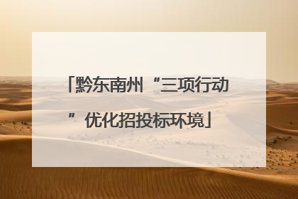 黔东南州“三项行动”优化招投标环境