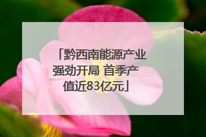 黔西南能源产业强劲开局 首季产值近83亿元