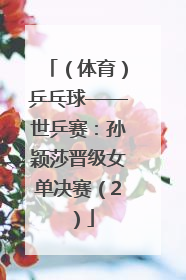 （体育）乒乓球——世乒赛：孙颖莎晋级女单决赛（2）