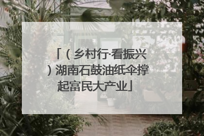 （乡村行·看振兴）湖南石鼓油纸伞撑起富民大产业