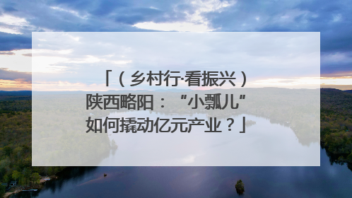 （乡村行·看振兴）陕西略阳：“小瓢儿”如何撬动亿元产业？