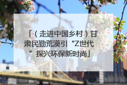 （走进中国乡村）甘肃民勤荒漠引“Z世代”探兴环保新时尚