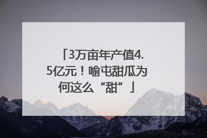 3万亩年产值4.5亿元！喻屯甜瓜为何这么“甜”