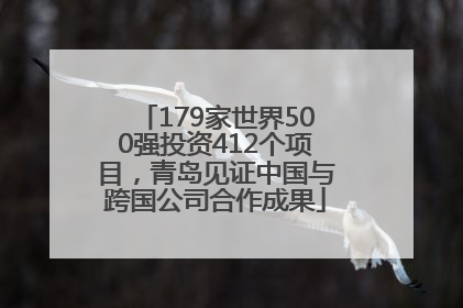 179家世界500强投资412个项目，青岛见证中国与跨国公司合作成果