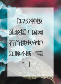 17分钟极速救援！国网石首供电守护江豚不断“电”