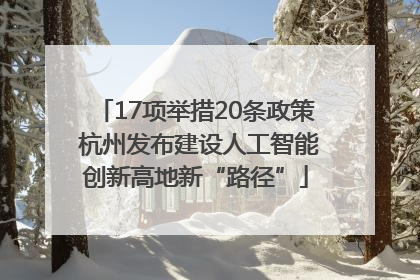 17项举措20条政策 杭州发布建设人工智能创新高地新“路径”
