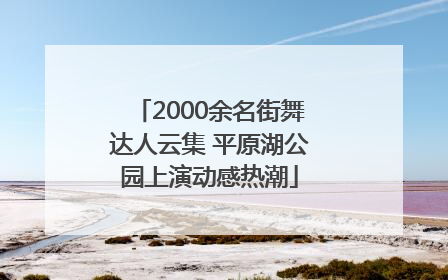 2000余名街舞达人云集 平原湖公园上演动感热潮