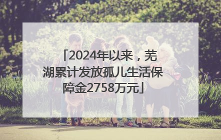 2024年以来，芜湖累计发放孤儿生活保障金2758万元