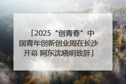 2025“创青春”中国青年创新创业周在长沙开幕 阿东沈晓明致辞