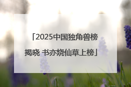 2025中国独角兽榜揭晓 书亦烧仙草上榜