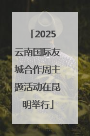 2025云南国际友城合作周主题活动在昆明举行