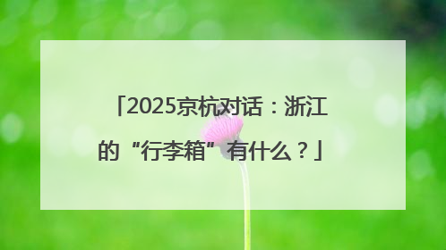 2025京杭对话：浙江的“行李箱”有什么？