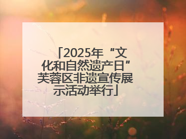 2025年“文化和自然遗产日”芙蓉区非遗宣传展示活动举行