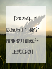 2025年“陇原巧手”数字技能提升训练营正式启动