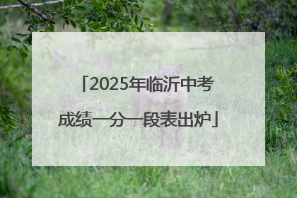 2025年临沂中考成绩一分一段表出炉