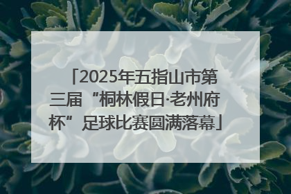 2025年五指山市第三届“桐林假日·老州府杯”足球比赛圆满落幕