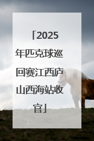 2025年匹克球巡回赛江西庐山西海站收官