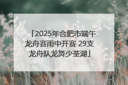 2025年合肥市端午龙舟赛雨中开赛 29支龙舟队龙舞少荃湖