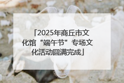 2025年商丘市文化馆“端午节”专场文化活动圆满完成