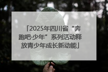 2025年四川省“奔跑吧·少年”系列活动释放青少年成长新动能