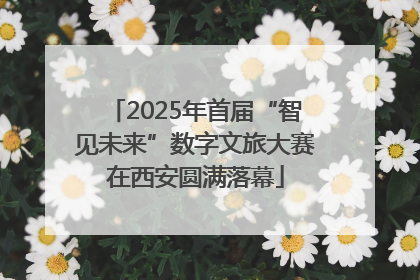 2025年首届“智见未来”数字文旅大赛在西安圆满落幕