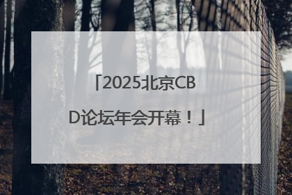 2025北京CBD论坛年会开幕！