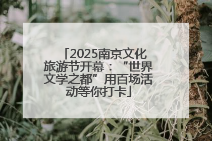 2025南京文化旅游节开幕：“世界文学之都”用百场活动等你打卡