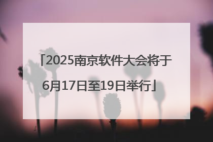 2025南京软件大会将于6月17日至19日举行