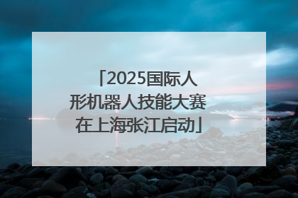 2025国际人形机器人技能大赛在上海张江启动