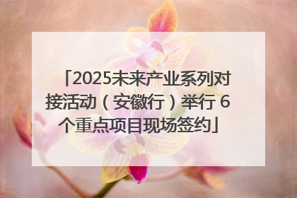 2025未来产业系列对接活动（安徽行）举行 6个重点项目现场签约