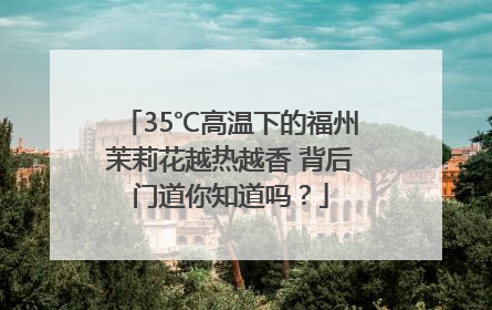 35℃高温下的福州茉莉花越热越香 背后门道你知道吗？