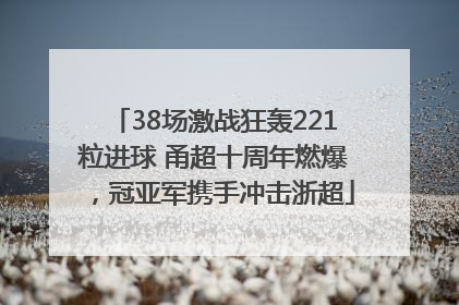 38场激战狂轰221粒进球 甬超十周年燃爆，冠亚军携手冲击浙超