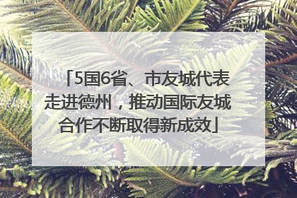 5国6省、市友城代表走进德州，推动国际友城合作不断取得新成效