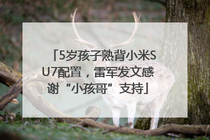 5岁孩子熟背小米SU7配置，雷军发文感谢“小孩哥”支持