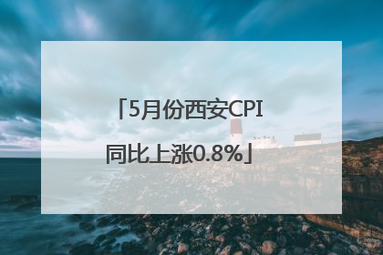 5月份西安CPI同比上涨0.8%