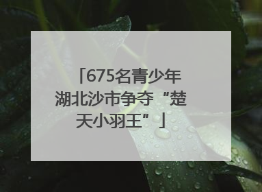 675名青少年湖北沙市争夺“楚天小羽王”
