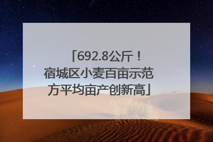 692.8公斤！宿城区小麦百亩示范方平均亩产创新高