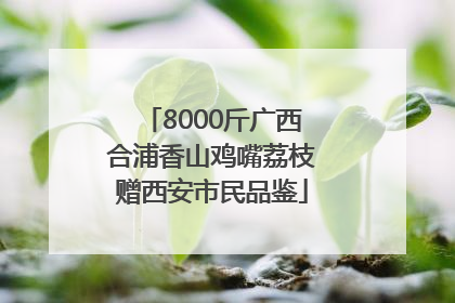 8000斤广西合浦香山鸡嘴荔枝赠西安市民品鉴